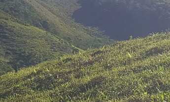 Imagem 5: Fazenda à venda, 202000 m² por R$ 980.000,00 - Serra - Iporanga/SP