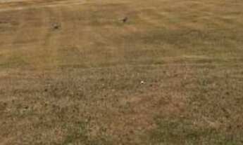 Imagem 2: Terreno à venda, 448 m² por R$ 800.000 - Jardim Millenium - Sorocaba/SP