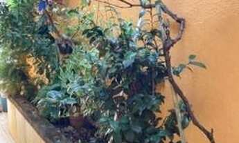 Imagem 5: Casa com 2 dormitórios à venda, 116 m² por R$ 375.000,00 - Jardim Refúgio - Sorocaba/SP