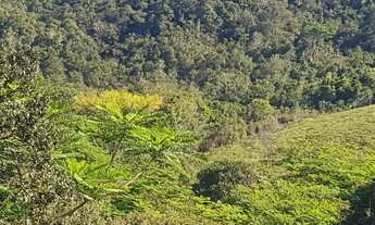 Imagem 2: Fazenda à venda, 202000 m² por R$ 980.000,00 - Serra - Iporanga/SP