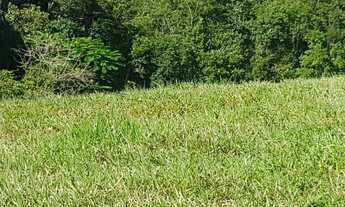 Imagem 7: Fazenda à venda, 202000 m² por R$ 980.000,00 - Serra - Iporanga/SP