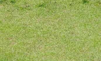 Imagem: Terreno à venda, 1039 m² por R$ 250.000,00