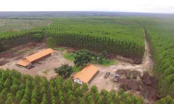 Imagem: Fazenda à venda por R$ 1.500.000.000