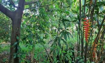 Imagem 5: Área à venda, 5400 m² por R$ 5.400.000 - Vossoroca - Votorantim/SP