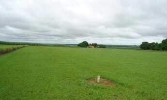 Imagem 7: Fazenda à venda, 1.040 alq por R$ 364.000.000 - Vila Iguacu - Rancharia/SP