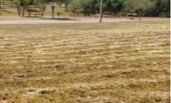 Imagem 2: Terreno à venda, 720 m² por R$ 425.000 - Vila Trujillo - Sorocaba/SP