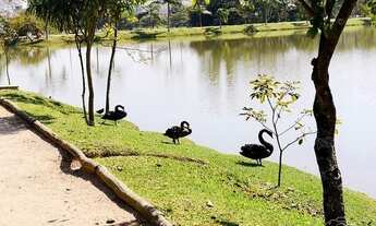 Imagem 5: Casa com 3 dormitórios à venda, 280 m² por R$ 1.250.000,00 - Jardim Ibiti do Paço - Soroca