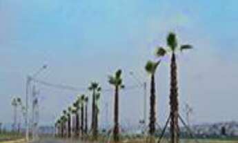 Imagem 6: TERRENO À VENDA, 1000 M² POR R$ 570.000,00 - ALÉM LINHA - SOROCABA/SP