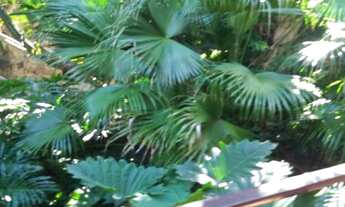 Imagem 6: CHÁCARA COM 3 DORMITÓRIOS À VENDA, 5018 M² POR R$ 1.610.000,00 - CAPUTERA - SOROCABA/SP