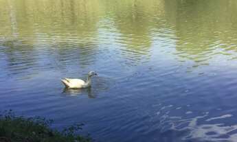 Imagem 5: TERRENO À VENDA, 2500 M² POR R$ 480.000 - CONDOMÍNIO TERRAS DE SÃO LUCAS - SOROCABA/SP, TE