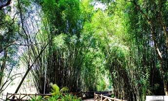 Imagem 7: OPORTUNIDADE excelente lote com 1000m² á venda no condomínio Saint Patrick em Sorocaba/SP