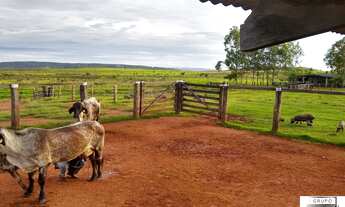Imagem 3: FAZENDA RURAL em Vila Rica - MT, Vila Rica