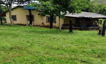 Imagem: FAZENDA ALTO ARAGUAIA/ MT - 2679 HECTARES