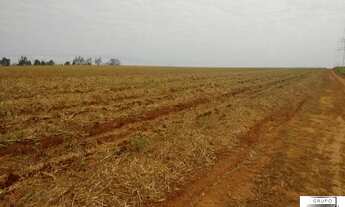 Imagem 5: Fazenda no Municipio de Tatui - 3km Frente pra Castelo