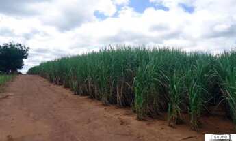 Imagem 2: Fazenda à venda, 1.040 alq por R$ 364.000.000 - Vila Iguacu - Rancharia/SP
