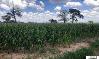 Imagem 2: Fazenda em São Carlos