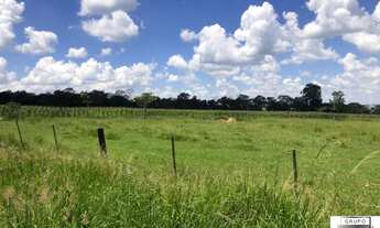 Imagem 3: Fazenda em São Carlos