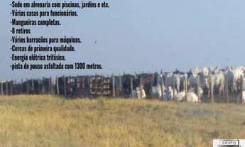 Imagem 7: FAZENDA RURAL em CORUMBÁ - MS, CORUMBÁ