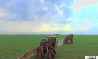 Imagem: FAZENDA PRÓXIMO A SANTIAGO DO NORTE - SORRISO