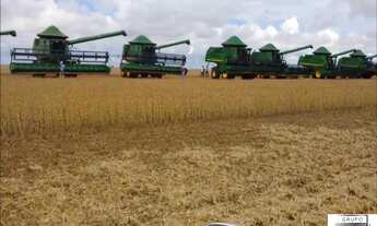 Imagem 2: FAZENDA PRÓXIMO A SANTIAGO DO NORTE - SORRISO / MT