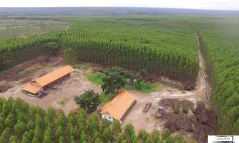Imagem: FAZENDA EM MATO GROSSO DO SUL