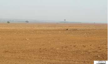 Imagem 3: FAZENDA PRÓXIMO A SANTIAGO DO NORTE - SORRISO / MT