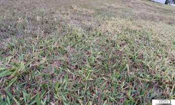 Imagem: Terreno à venda, 452 m²- Alphaville Nova