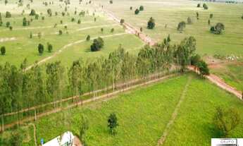 Imagem 2: FAZENDA RURAL em Ribas do Rio Pardo - SP, Centro