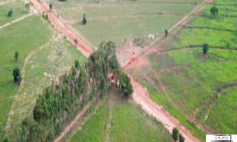 Imagem 4: FAZENDA RURAL em Ribas do Rio Pardo - SP, Centro