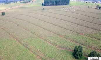 Imagem 5: FAZENDA RURAL em Ribas do Rio Pardo - SP, Centro