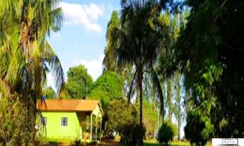 Imagem 6: FAZENDA RURAL em Ribas do Rio Pardo - SP, Centro