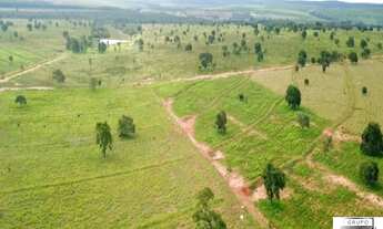Imagem 7: FAZENDA RURAL em Ribas do Rio Pardo - SP, Centro