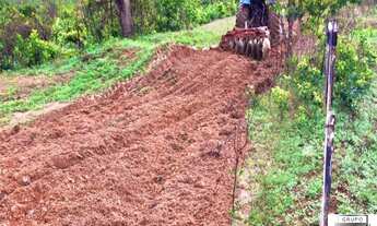 Imagem 4: FAZENDA RURAL em ALTO TAQUARI - MT, Alto Araguaia