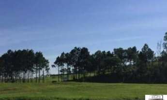 Imagem: Área, 10900 m² - venda por R$ 3.900.000