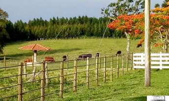 Imagem: Fazenda a venda em na cidade de Sarapui