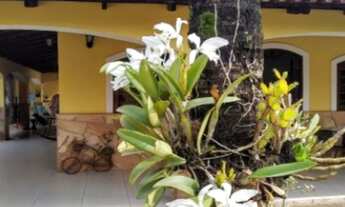 Imagem: Chácara residencial Paraíso R$1.000.000,00