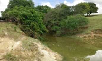 Imagem 5: Terreno residencial, Brigadeiro Tobias, R$750.000,00