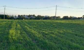 Imagem 4: Terreno residencial, Fazenda Alta Vista, R$220.000,00