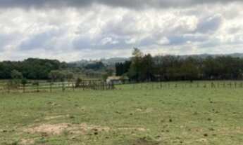 Imagem 7: Terreno residencial, Brigadeiro Tobias, R$750.000,00