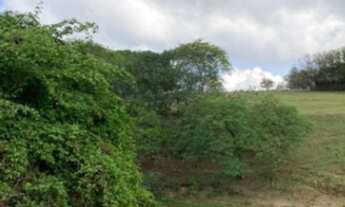 Imagem 4: Terreno residencial, Brigadeiro Tobias, R$750.000,00