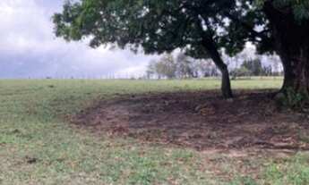 Imagem 6: Terreno residencial, Brigadeiro Tobias, R$750.000,00