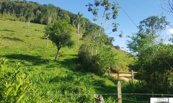 Imagem 5: Fazenda à venda, 202000 m² por R$ 860.000 - Serra - Iporanga/SP
