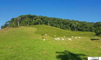 Imagem 6: Fazenda à venda, 202000 m² por R$ 860.000 - Serra - Iporanga/SP