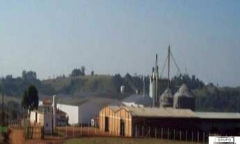 Imagem 3: FAZENDA RURAL em ITAPEVA - SP, COLINA DOS PINHEIROS