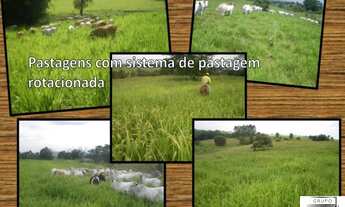 Imagem 4: FAZENDA RURAL em TATUÍ - SP, NOVA TATUÍ