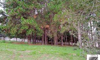 Imagem 4: Terreno à venda, 1000 m² por R$ 300.000