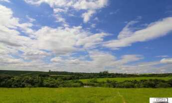 Imagem 2: Chácara com 5 dormitórios, 20000 m² - venda por R$ 2.950.000 ou aluguel por R$ 19.500/mês