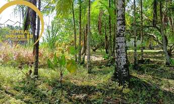 Imagem 6: CHACARA RURAL em PARIQUERA-AÇU - SP, Pariquera-Açu