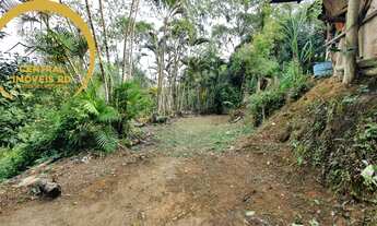 Imagem 3: SITIO RURAL em REGISTRO - SP, Palmeiras