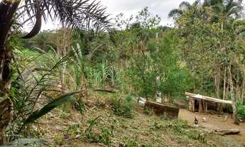 Imagem 7: SITIO RURAL em REGISTRO - SP, Palmeiras